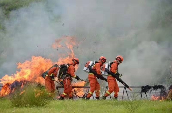 1564372208670494.jpg 微信圖片_20190729095651.jpg